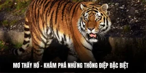 Mơ Thấy Hổ - Chi Tiết Ý Nghĩa 5 Giấc Mộng Gặp Hổ Phổ Biến